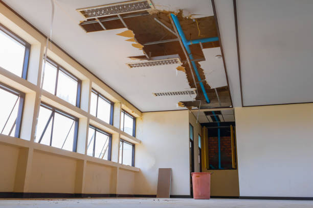 Best Water damage contractors near me  in Zilwaukee, MI