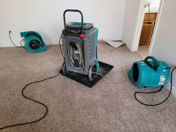 Best Ceiling water damage repair  in Zilwaukee, MI