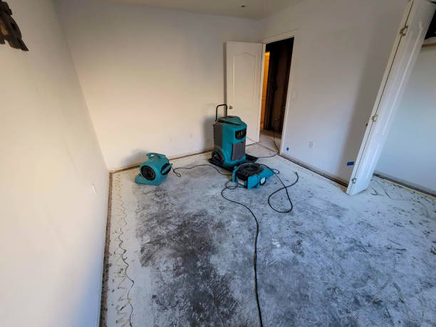 Best Residential water damage restoration  in Zilwaukee, MI