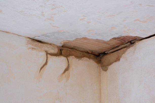 Best Professional water damage repair  in Zilwaukee, MI