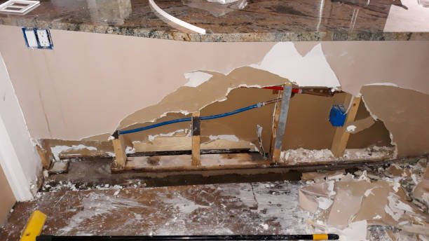 Best Carpet water damage restoration  in Zilwaukee, MI