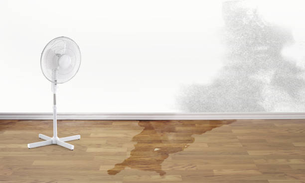 Best Flood damage cleanup  in Zilwaukee, MI