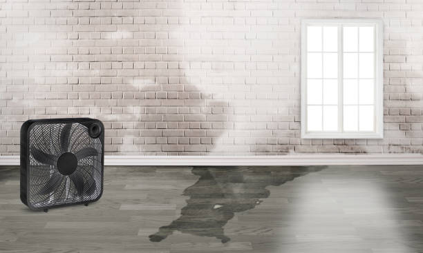 Best Emergency water damage restoration  in Zilwaukee, MI