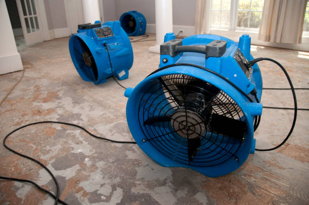  Zilwaukee, MI Water damage restoration Pros